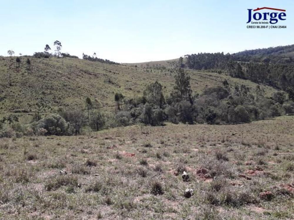 Terreno, 41 hectares - Foto 5