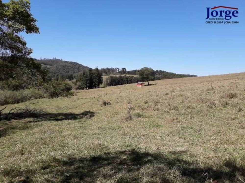 Terreno, 41 hectares - Foto 11