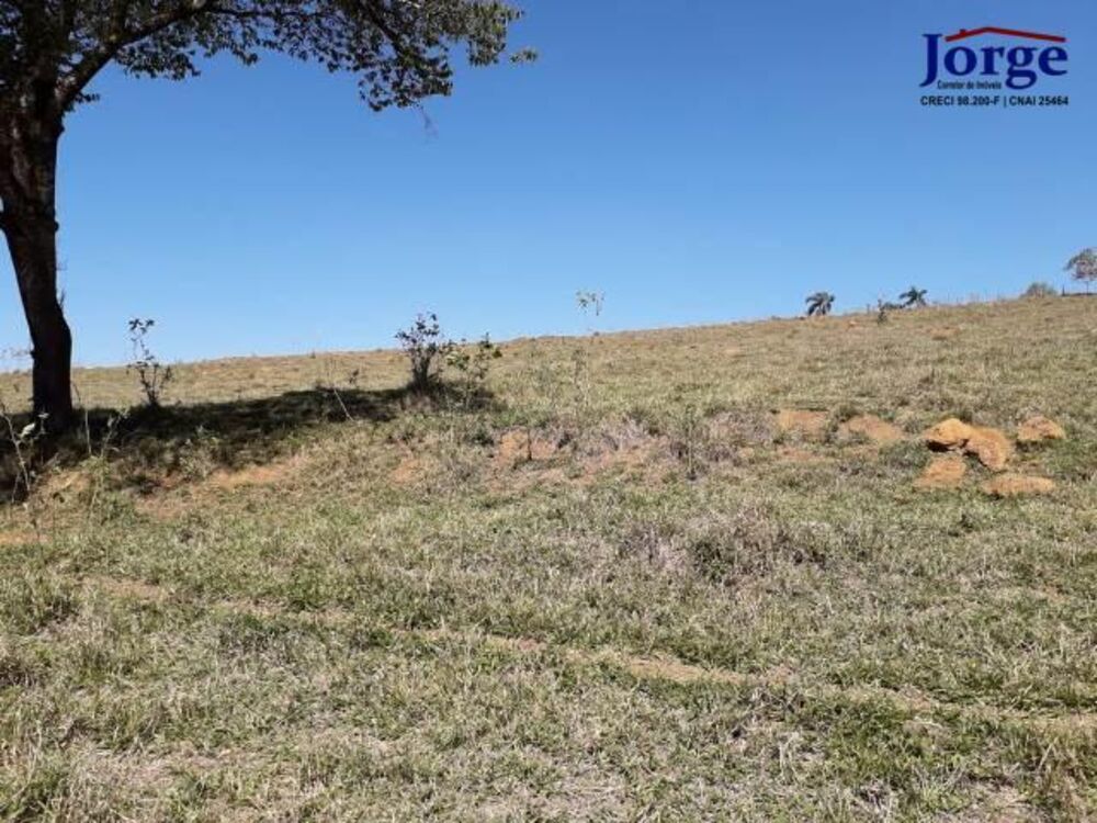 Terreno, 41 hectares - Foto 12