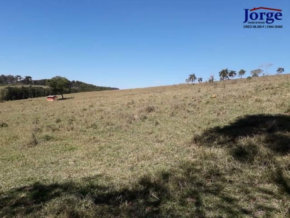 Terreno, 41 hectares - Foto 8