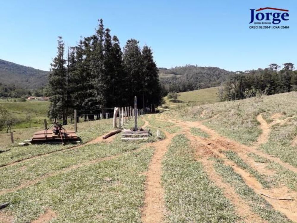 Terreno, 41 hectares - Foto 15