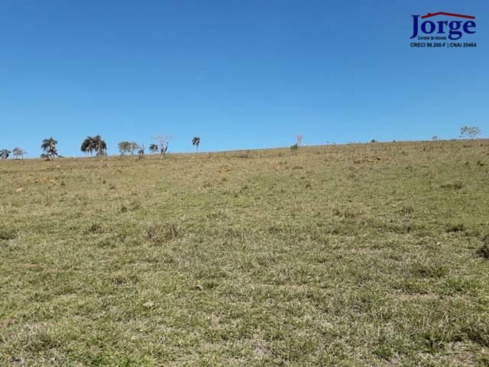 Terreno, 41 hectares - Foto 18