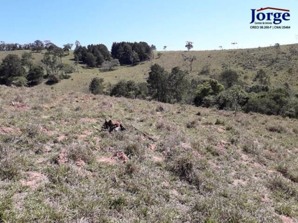 Terreno, 41 hectares - Foto 2