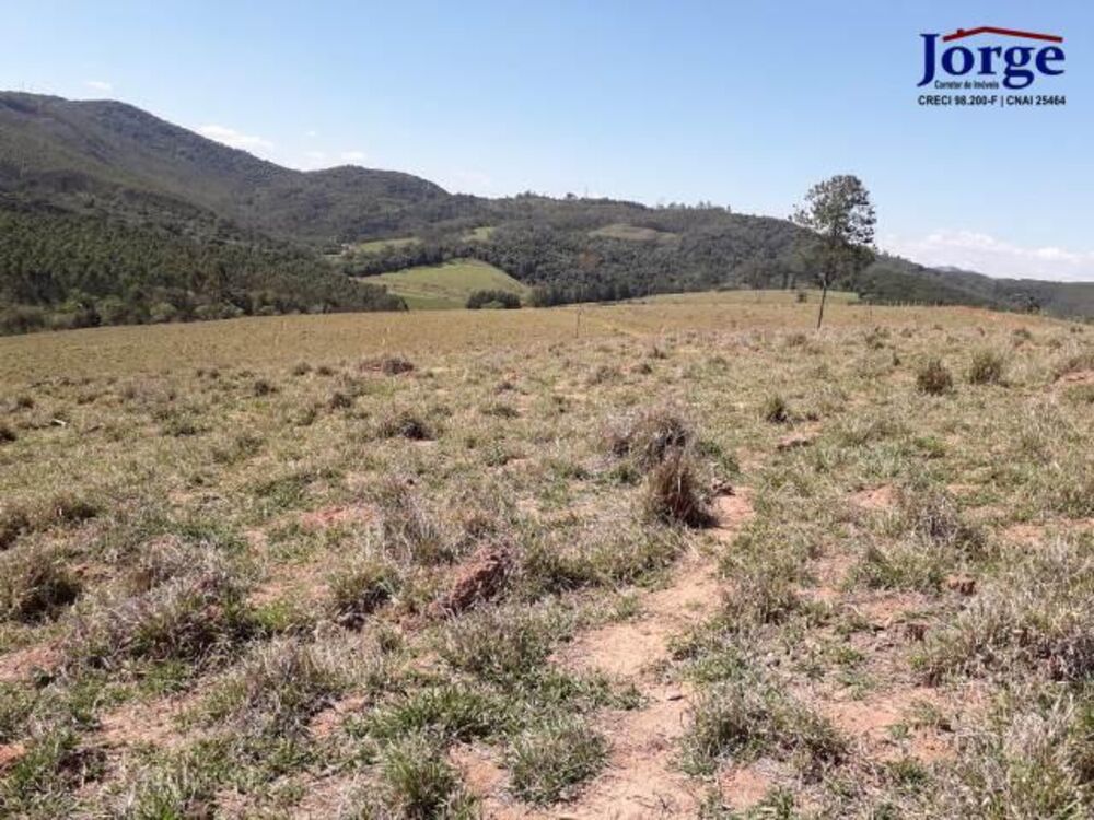 Terreno, 41 hectares - Foto 9