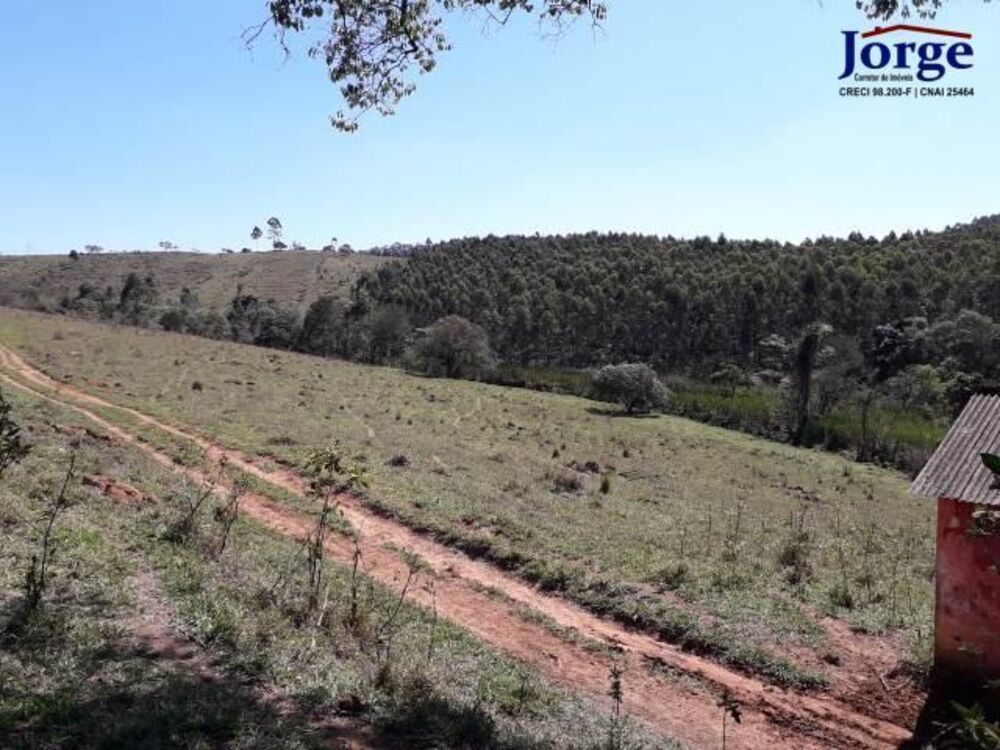 Terreno, 41 hectares - Foto 6