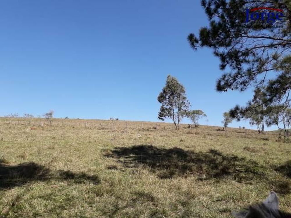 Terreno, 41 hectares - Foto 4