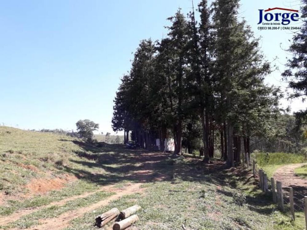 Terreno, 41 hectares - Foto 10