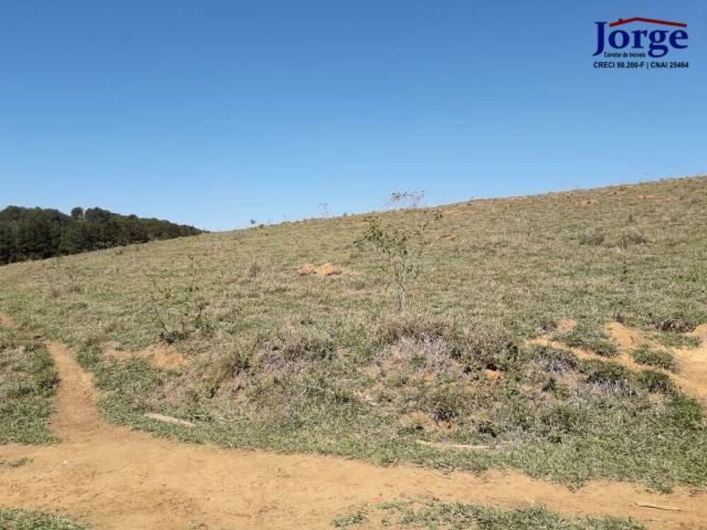 Terreno, 41 hectares - Foto 14