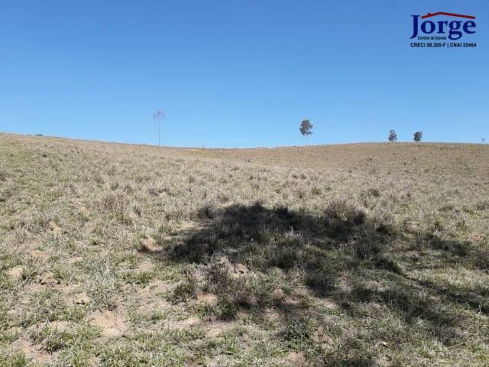 Terreno, 41 hectares - Foto 3