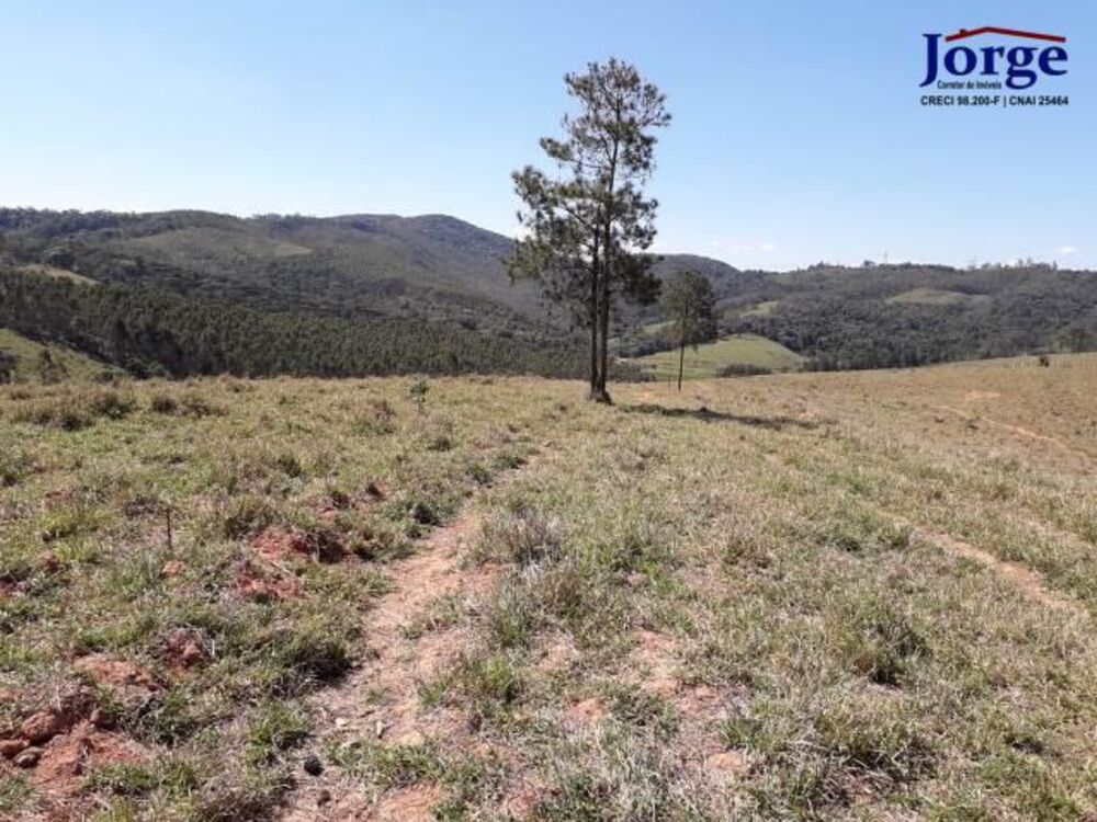 Terreno, 41 hectares - Foto 17