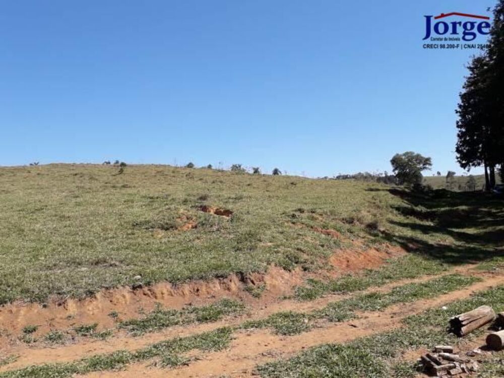 Terreno, 41 hectares - Foto 7