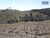 Terreno, 41 hectares - Foto 5