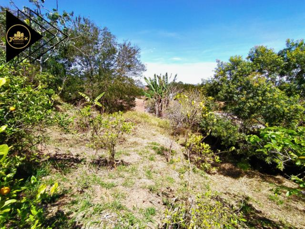 Chácara, 3 quartos, 3120 m² - Foto 9