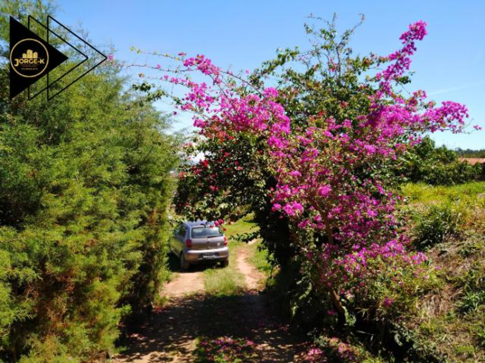 Chácara, 3 quartos, 3120 m² - Foto 12