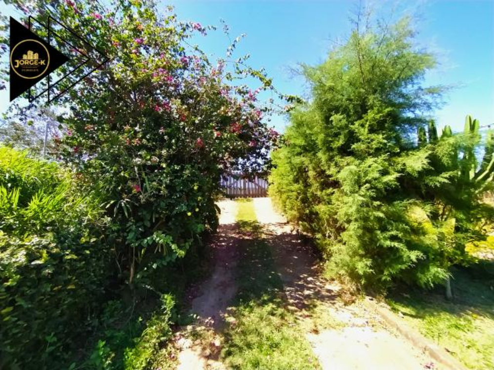 Chácara, 3 quartos, 3120 m² - Foto 11