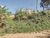 Terreno, 420 m² - Foto 2