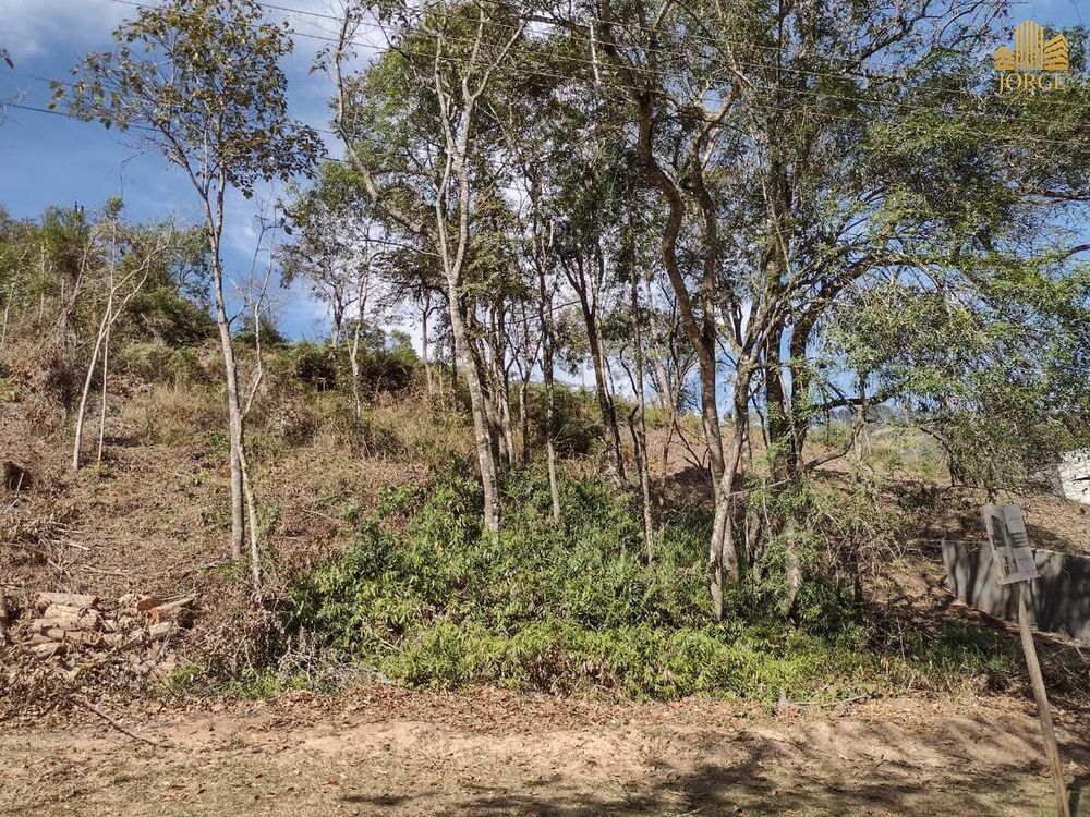 Terreno à venda, 1017m² - Foto 3