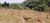 Terreno, 1000 m² - Foto 2