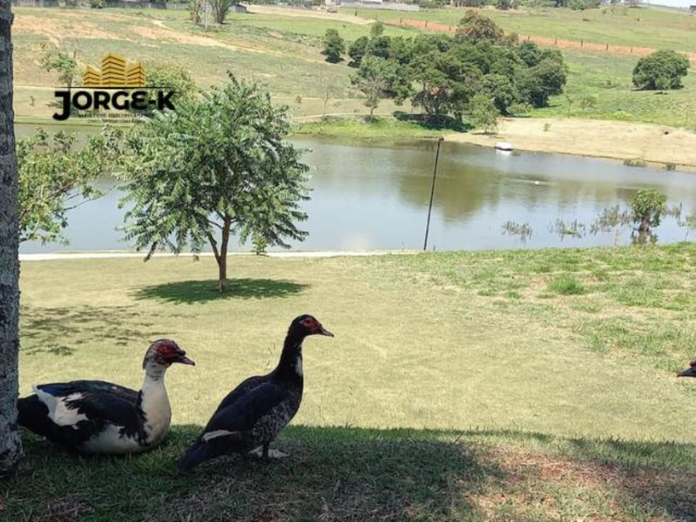 Terreno, 1018 m² - Foto 3