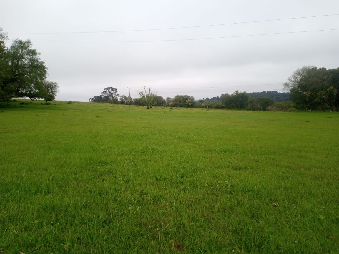 Fazenda à venda, 500000m² - Foto 1