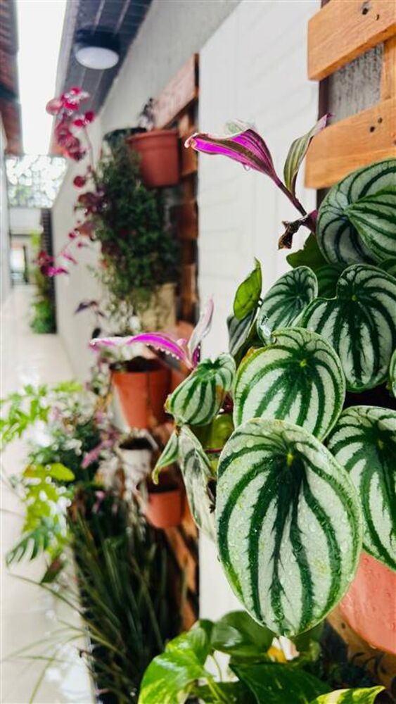 Casa, 2 quartos, 55 m² - Foto 2