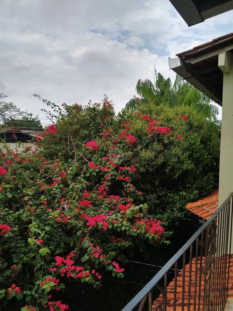 Casa, 5 quartos, 296 m² - Foto 4