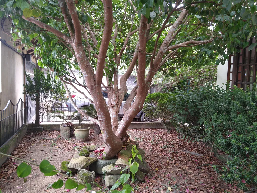 Casa, 5 quartos, 296 m² - Foto 35
