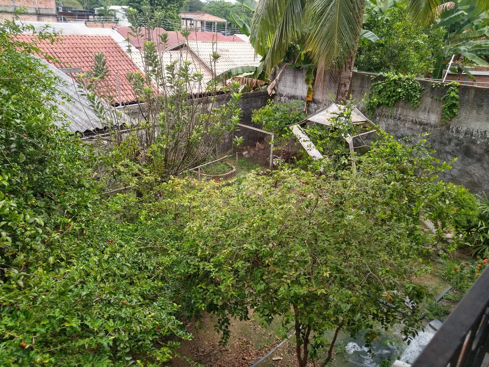 Casa, 5 quartos, 296 m² - Foto 10