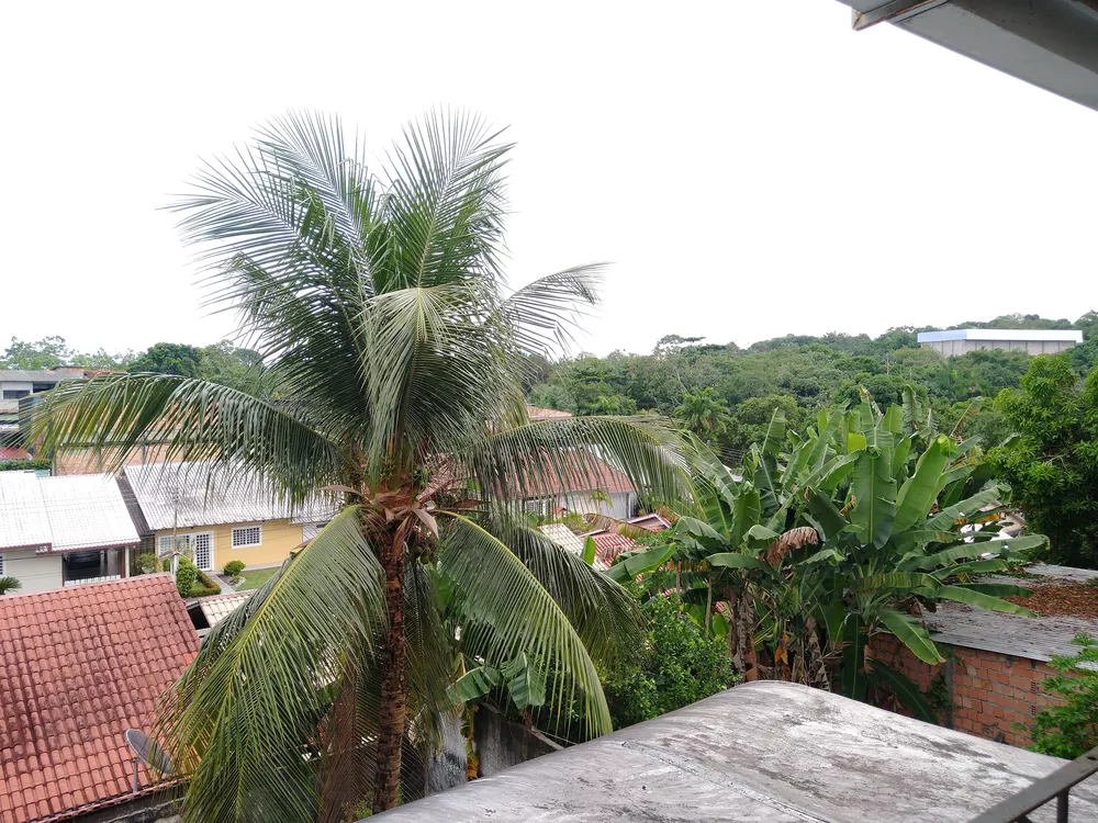Casa, 5 quartos, 296 m² - Foto 3