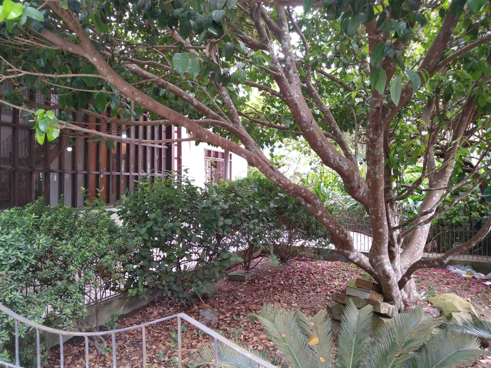 Casa, 5 quartos, 296 m² - Foto 8