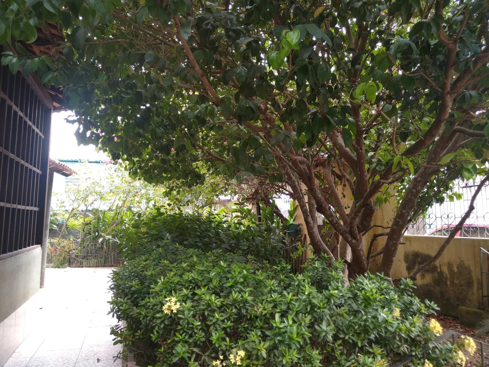 Casa, 5 quartos, 296 m² - Foto 33