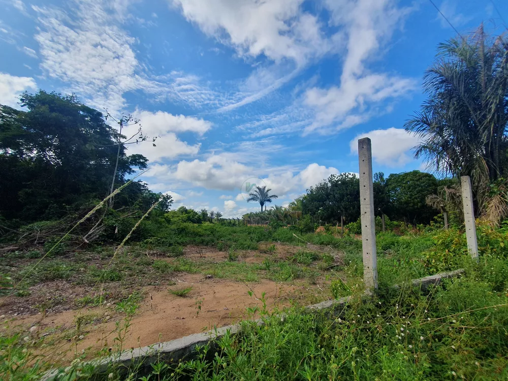Terreno, 1 hectares - Foto 6
