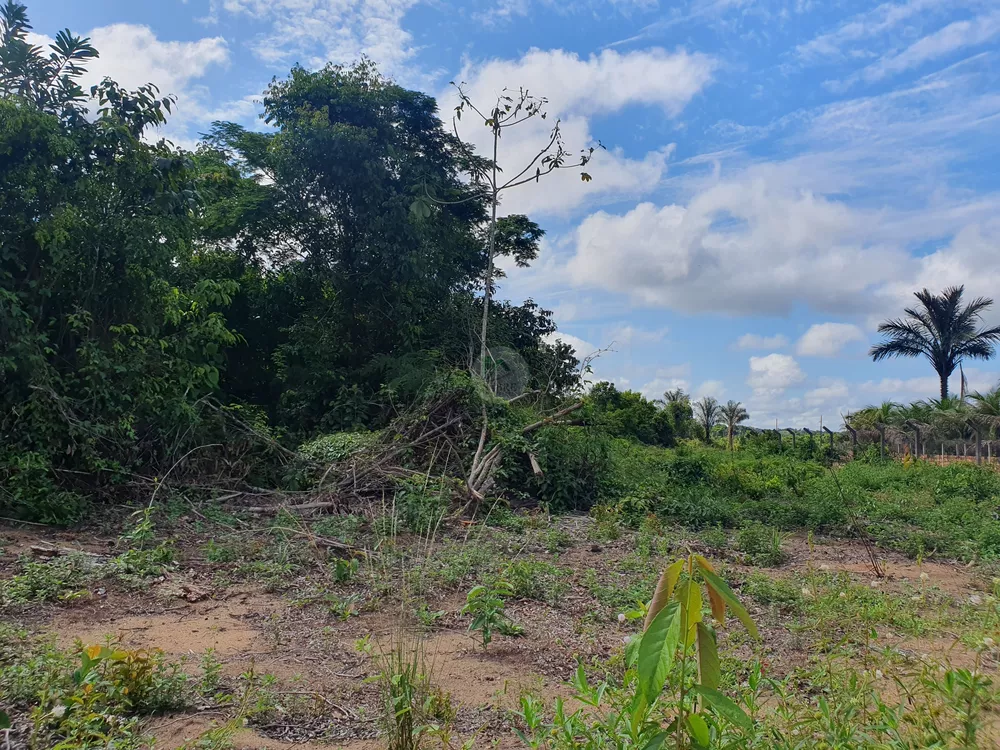 Terreno, 1 hectares - Foto 4
