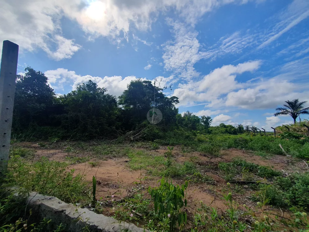 Terreno, 1 hectares - Foto 8