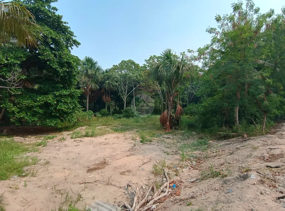 Terreno, 8076 m² - Foto 3