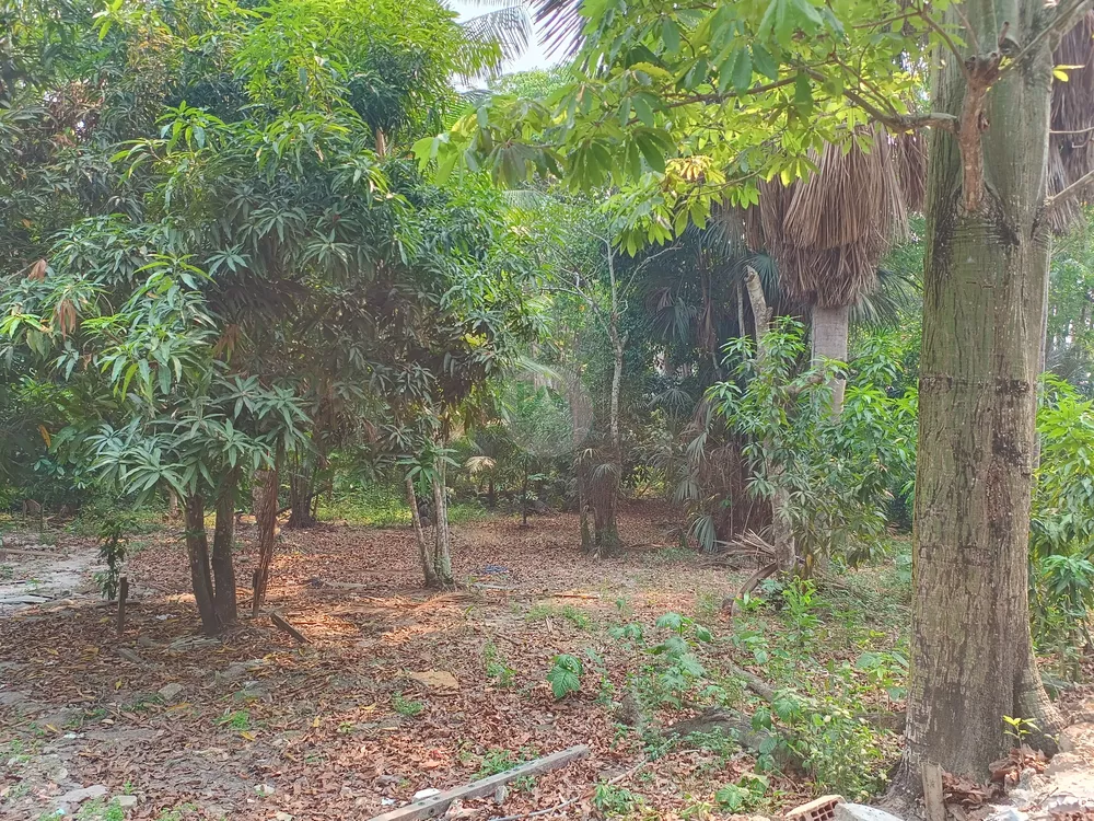 Terreno, 8076 m² - Foto 20