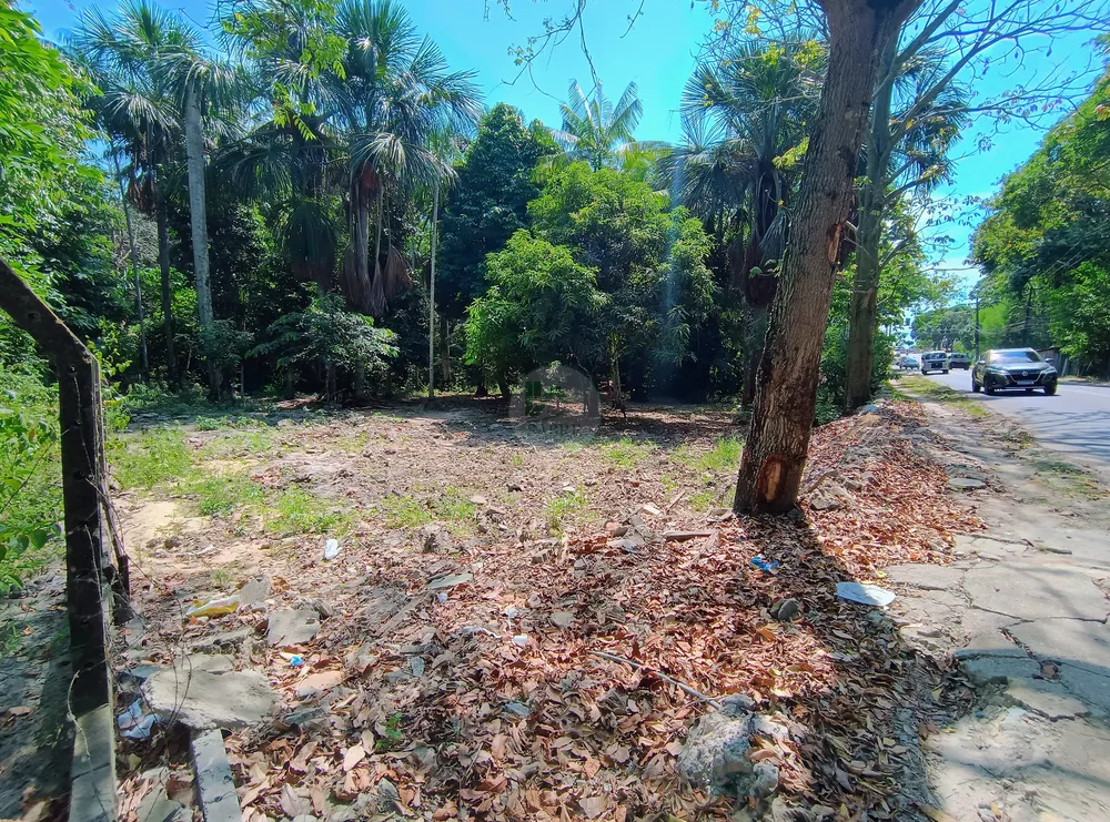 Terreno, 8076 m² - Foto 22