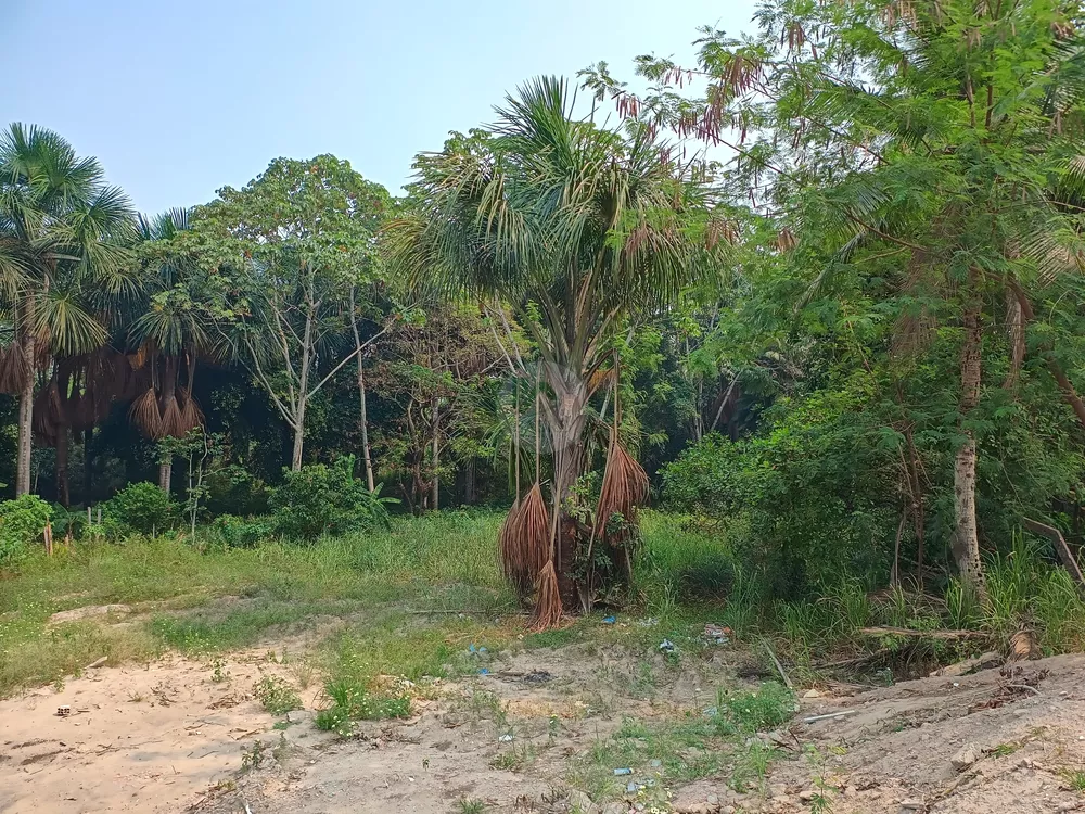 Terreno, 8076 m² - Foto 5