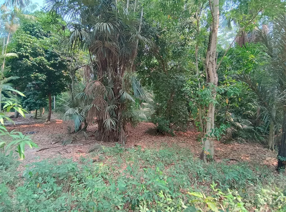 Terreno, 8076 m² - Foto 15