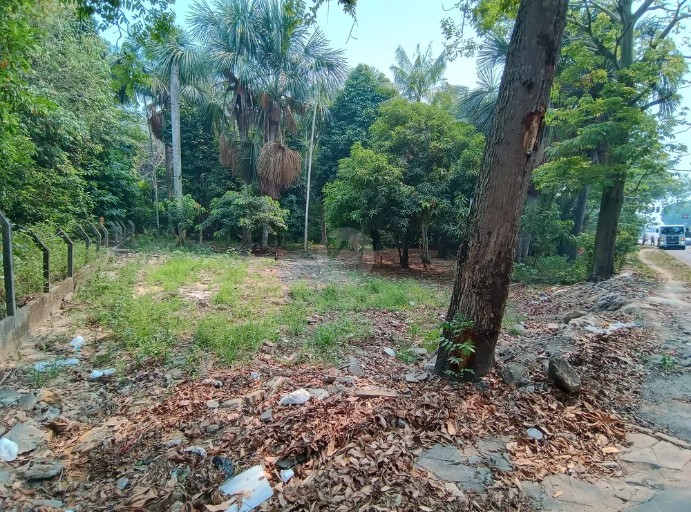 Terreno, 8076 m² - Foto 7