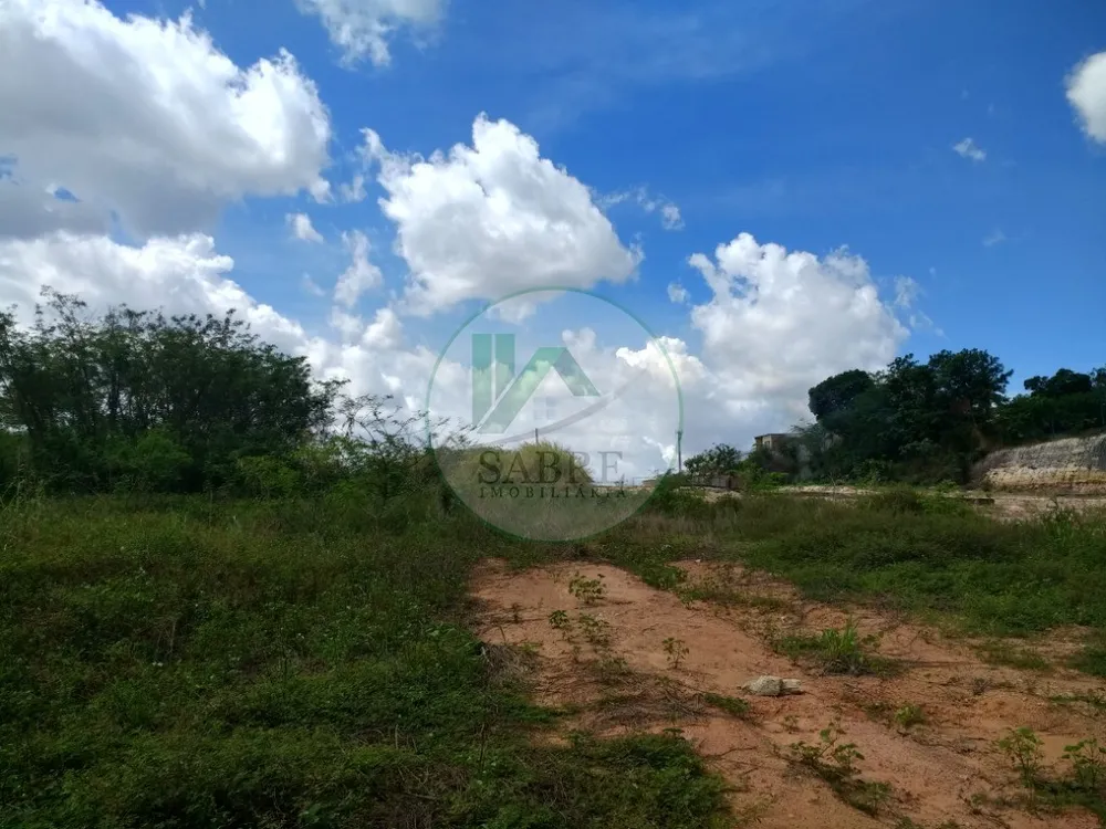 Terreno, 1 hectares - Foto 8