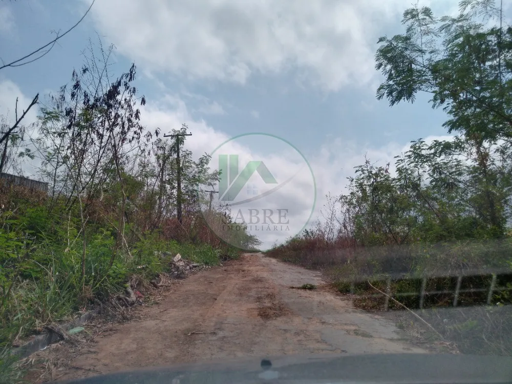 Terreno, 1 hectares - Foto 8