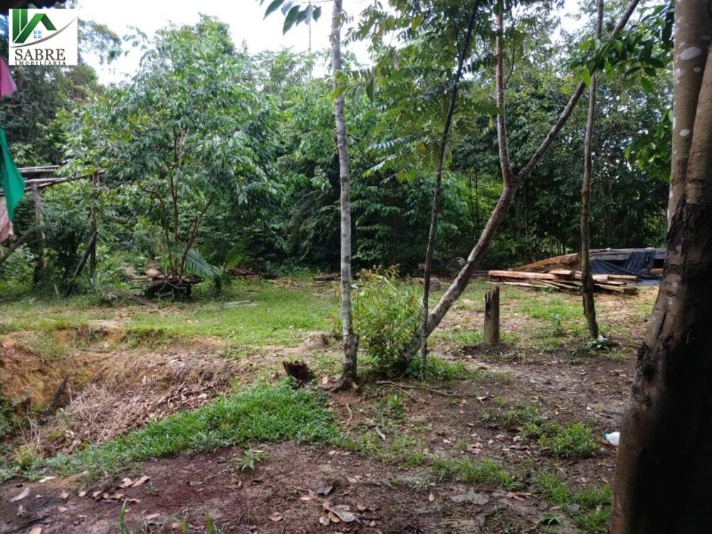 Sítio, 2 quartos, 7000 m² - Foto 3