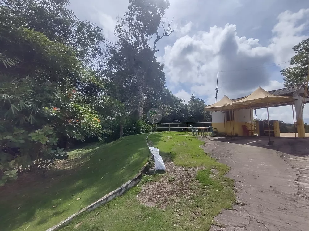 Terreno, 3 hectares - Foto 27