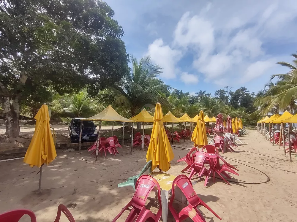 Terreno, 3 hectares - Foto 15