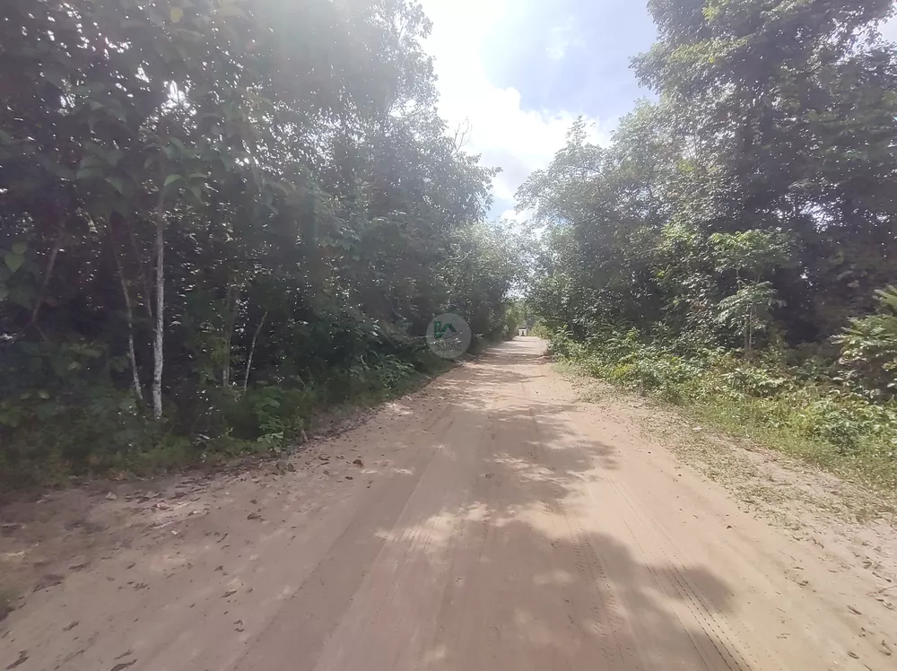 Terreno, 3 hectares - Foto 3