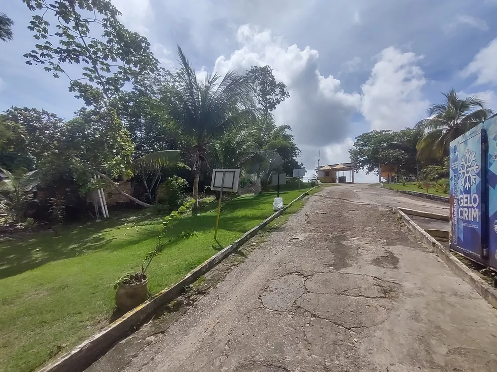 Terreno, 3 hectares - Foto 24