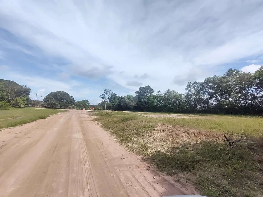 Terreno, 3 hectares - Foto 7