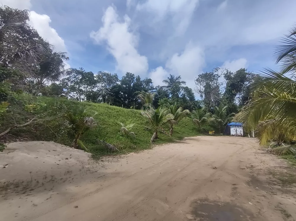 Terreno, 3 hectares - Foto 18