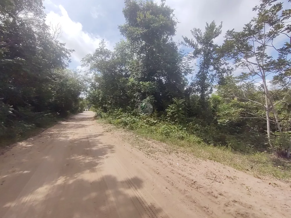 Terreno, 3 hectares - Foto 4